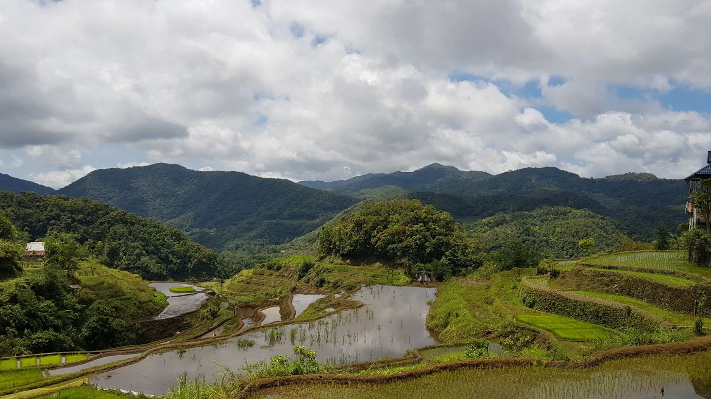 Banaue rizières