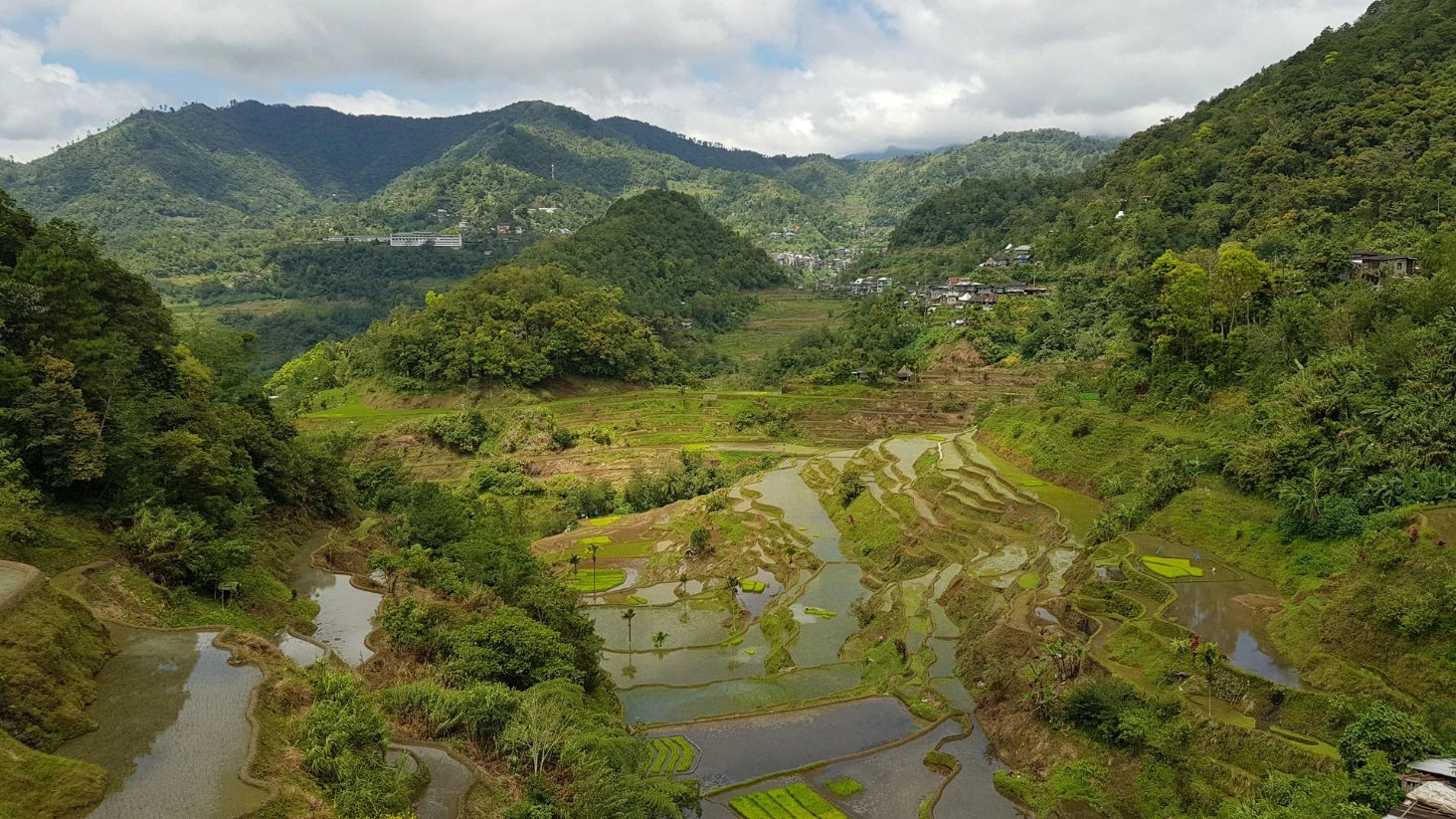 Banaue rizières