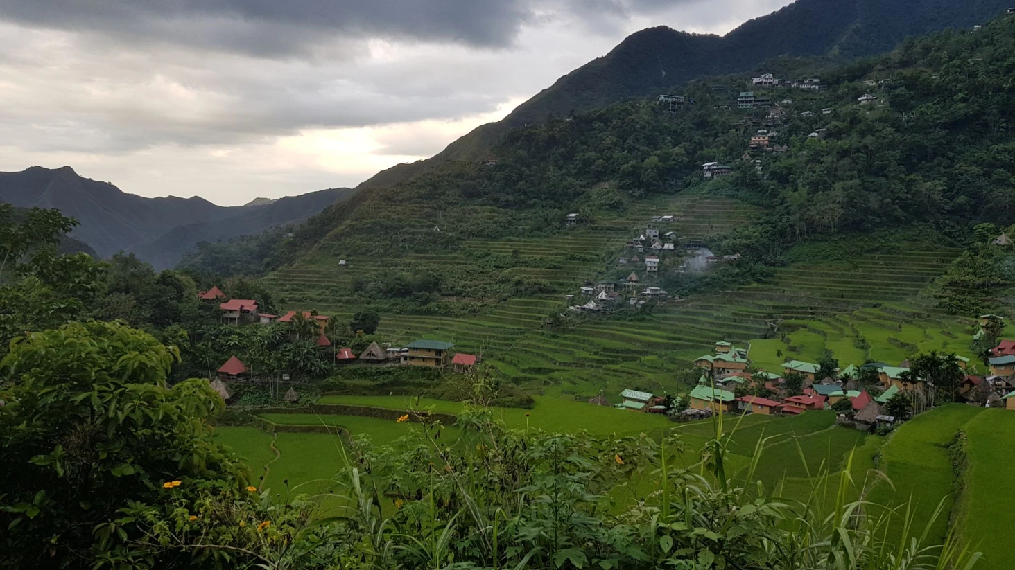 Batad rizières