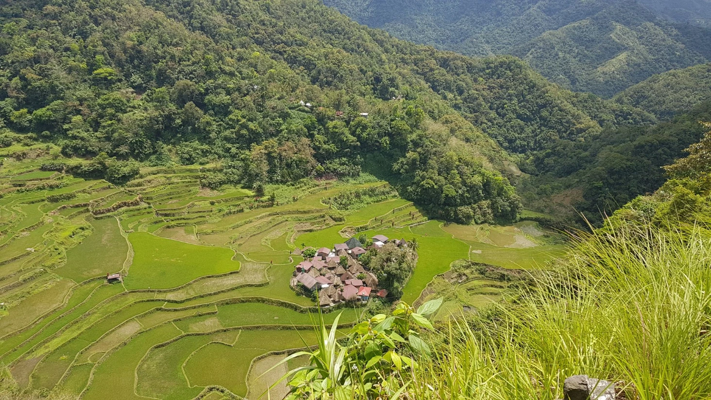 Rizières Banaue