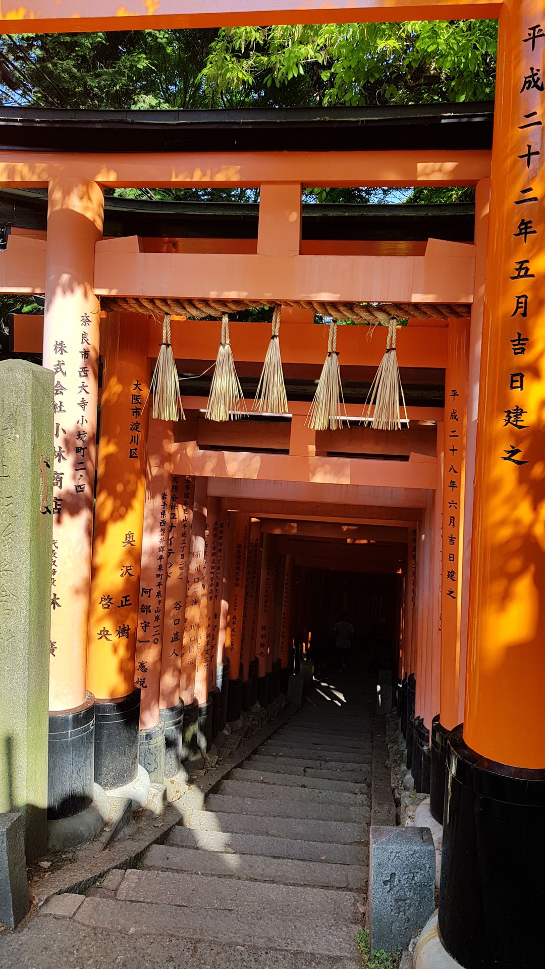 Torii Kyoto