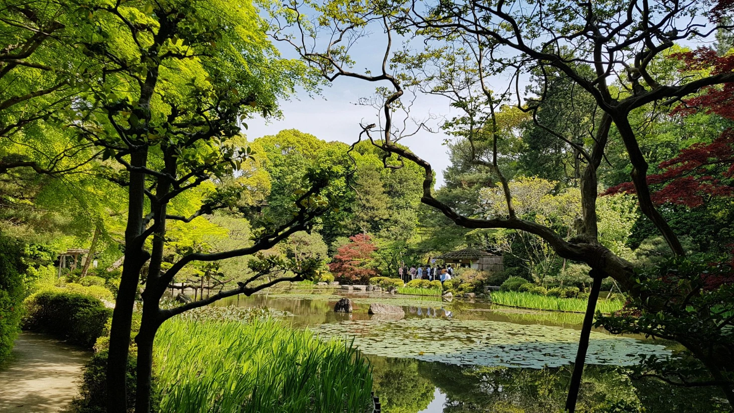 Jardin Kyoto