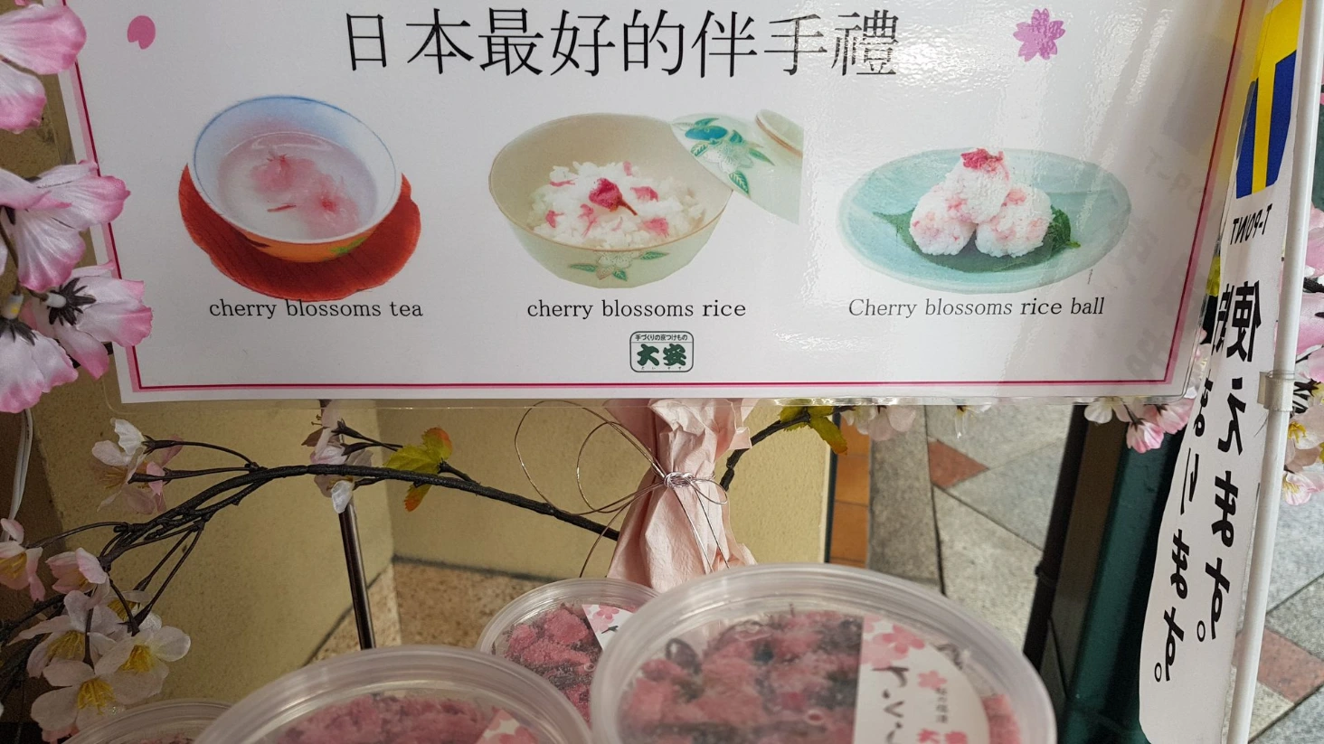 Cherry blossom Kyoto