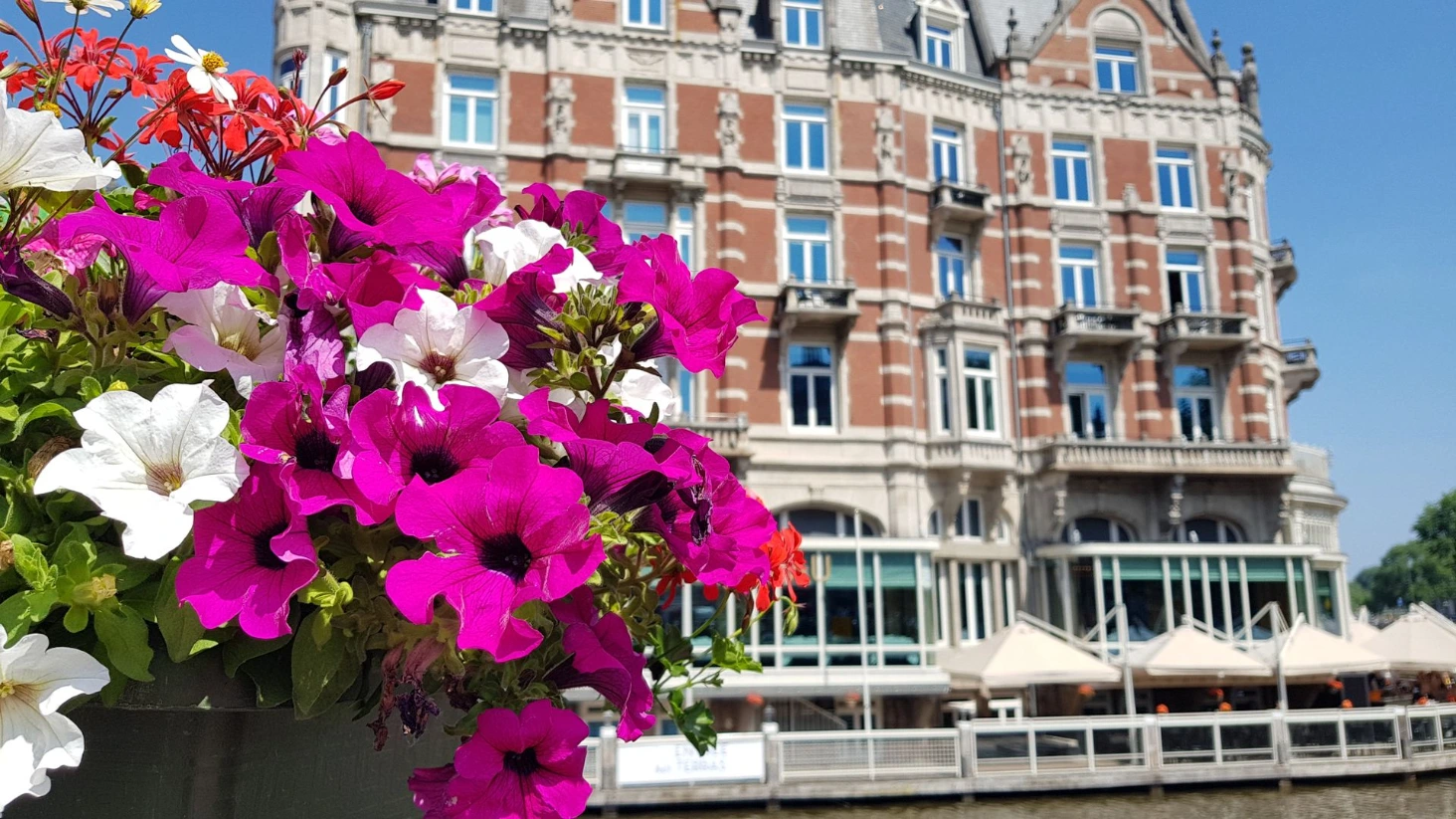 Amsterdam fleurs
