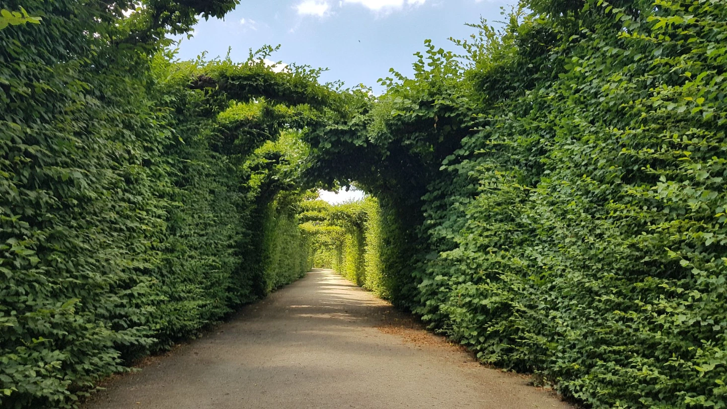 Vienne parc