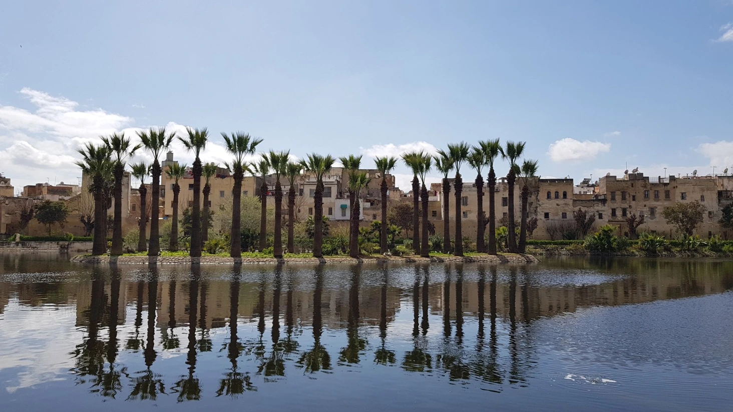 Fes parc