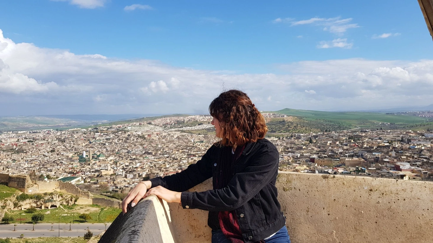 Fes vue Medina