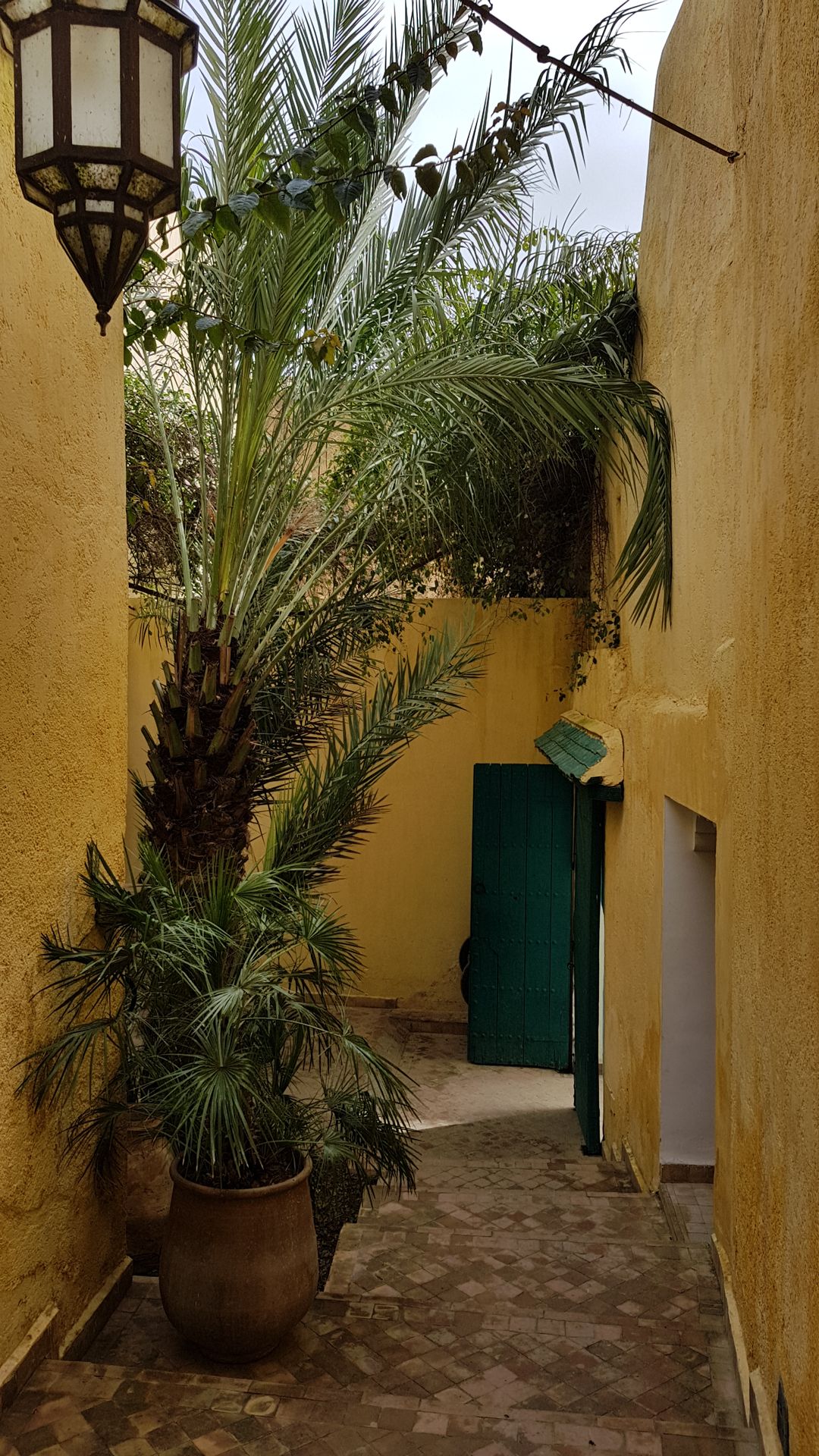 Fes
