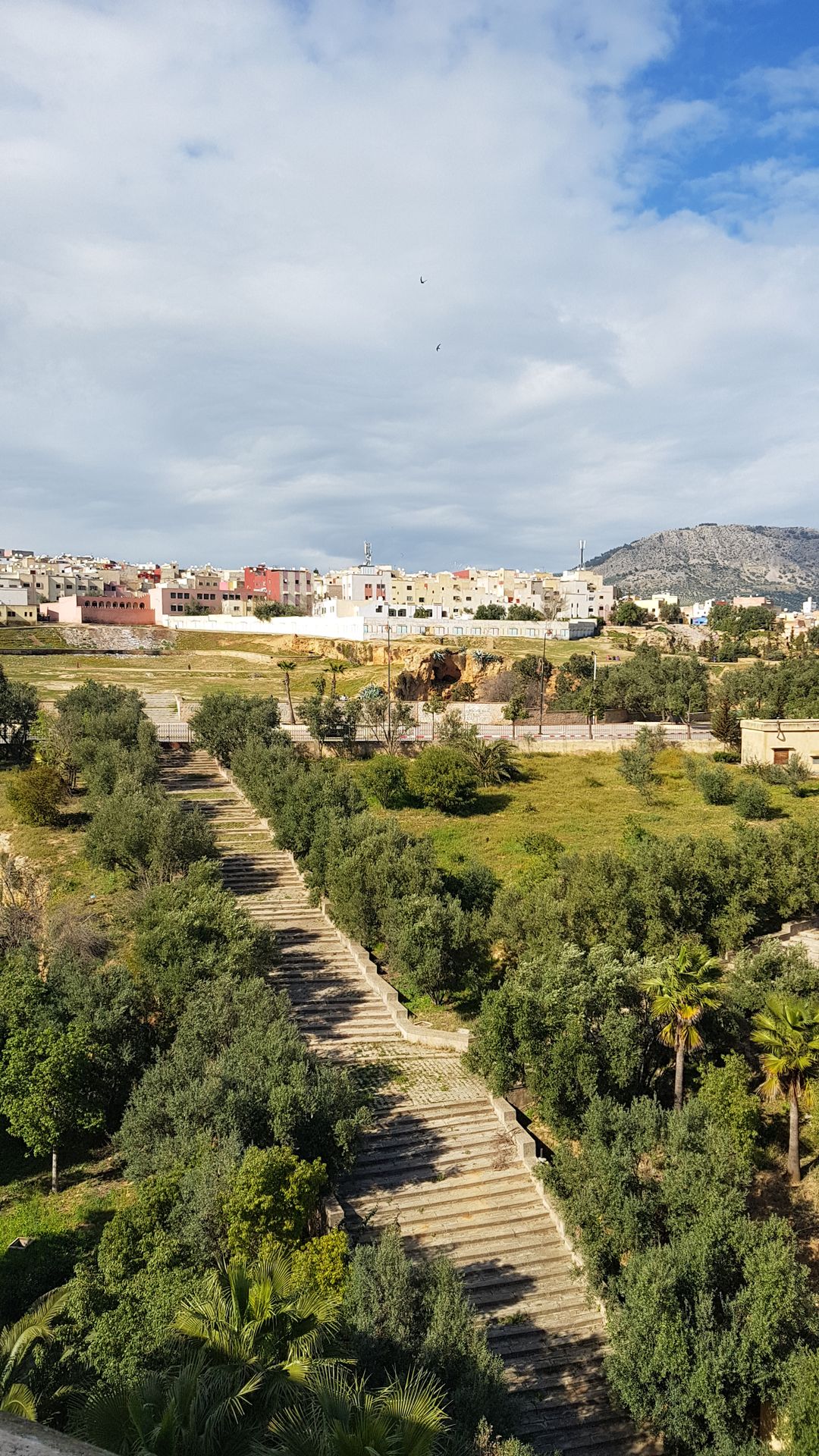Fes vue Medina