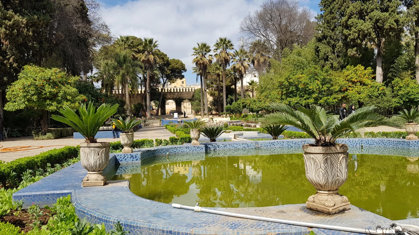 Fes parc