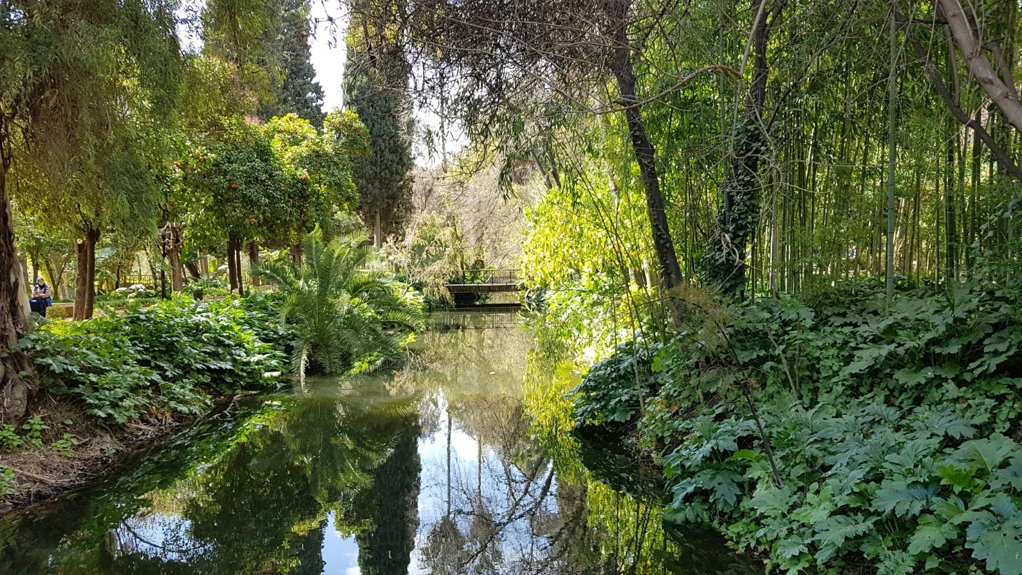 Fes parc