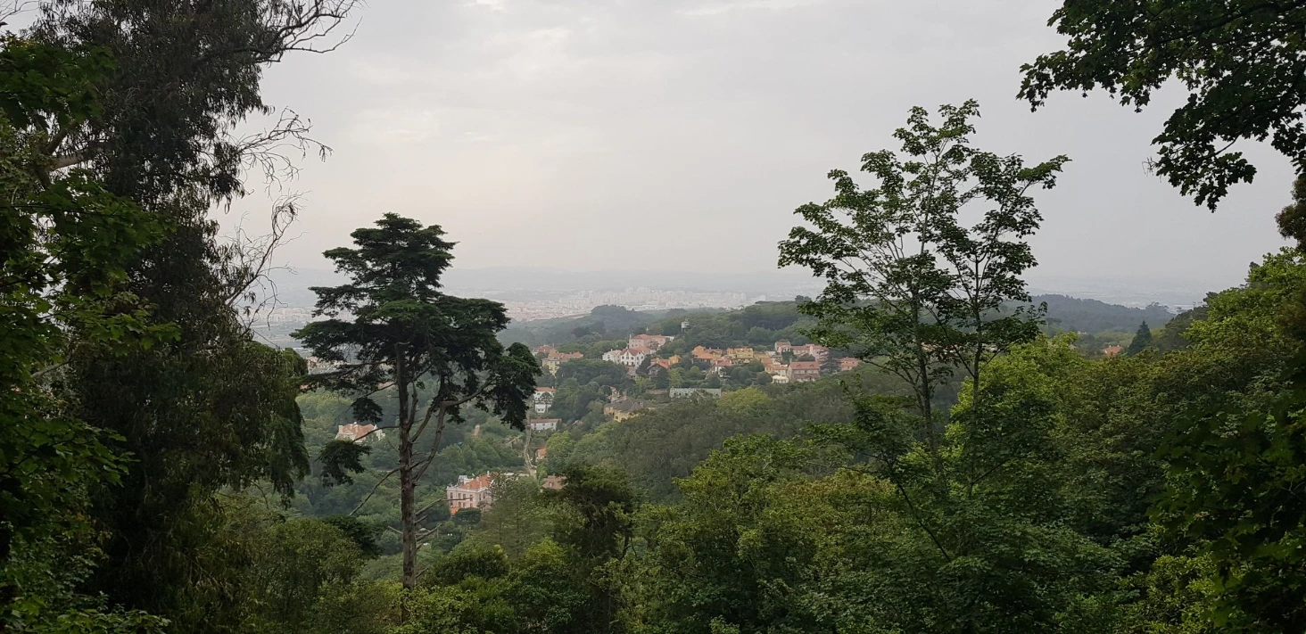 Sintra Chateau