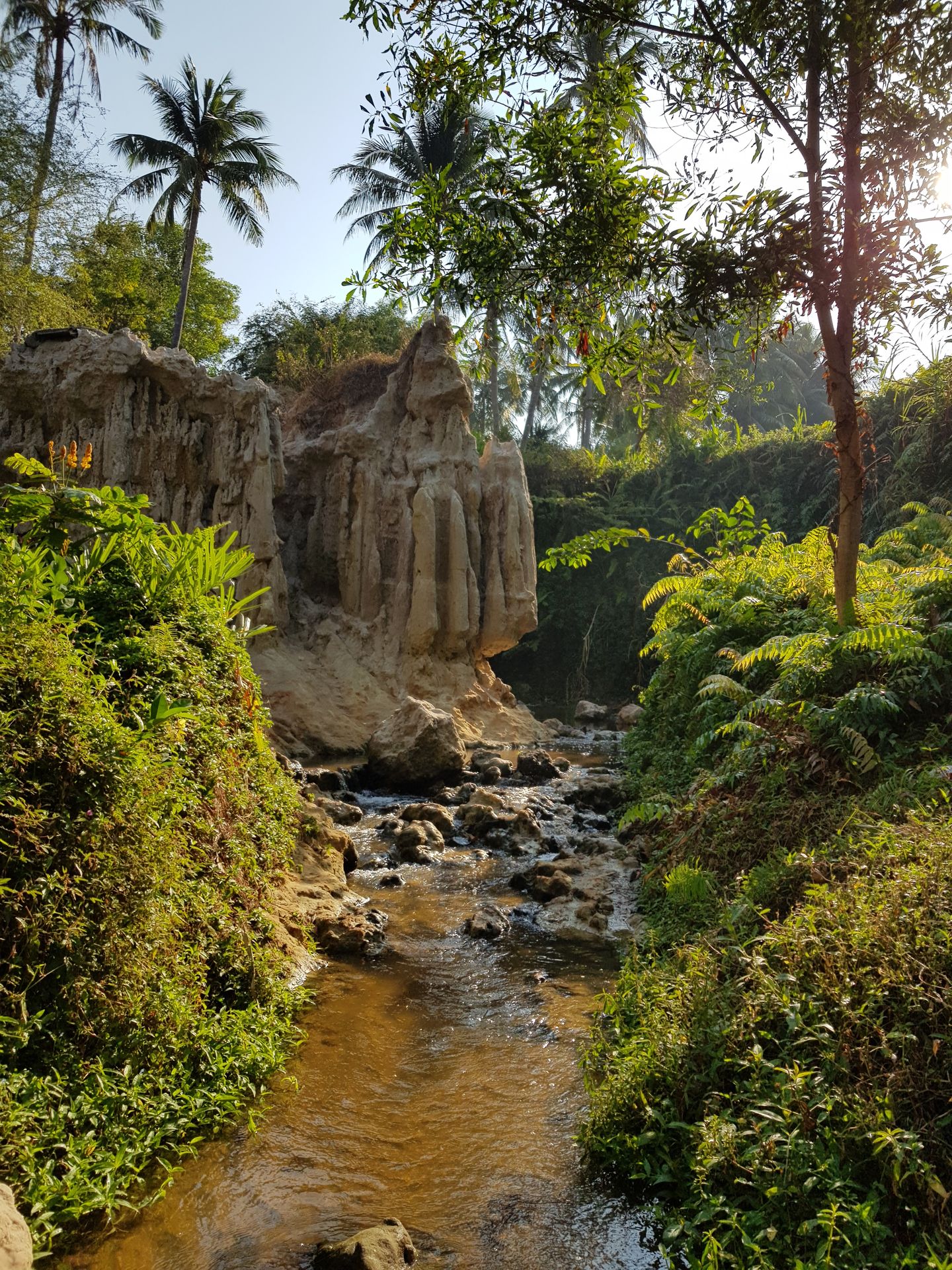 Fairy Stream Mui Ne
