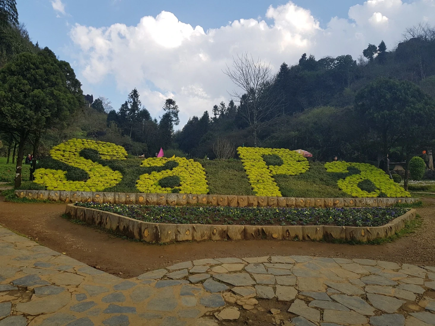 Sapa