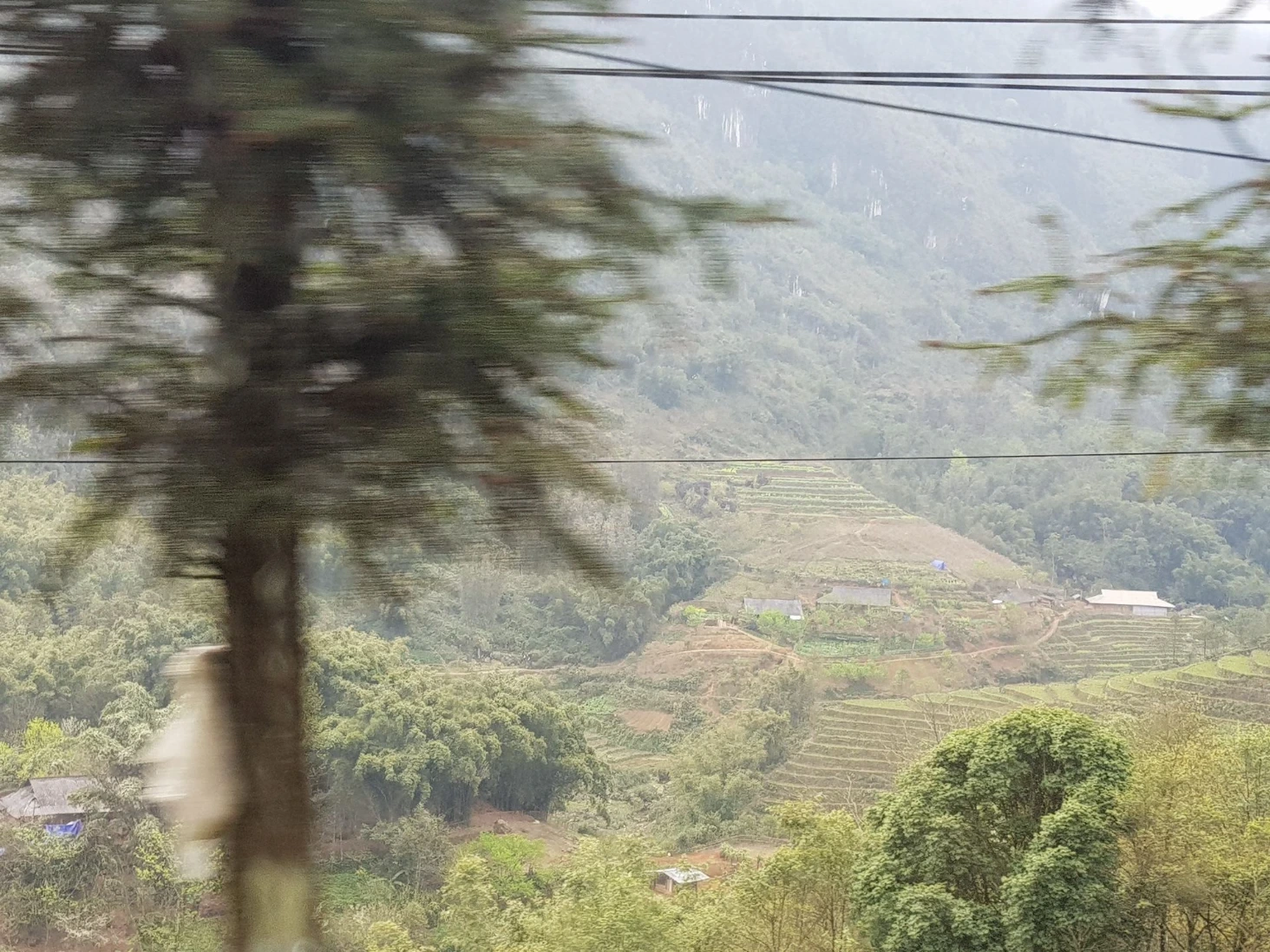 Rizières Sapa
