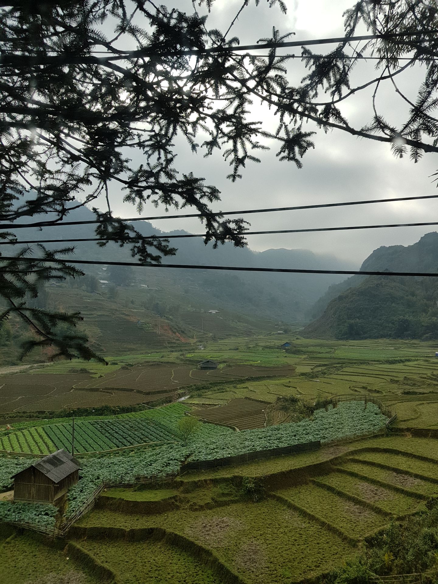 Rizières Sapa