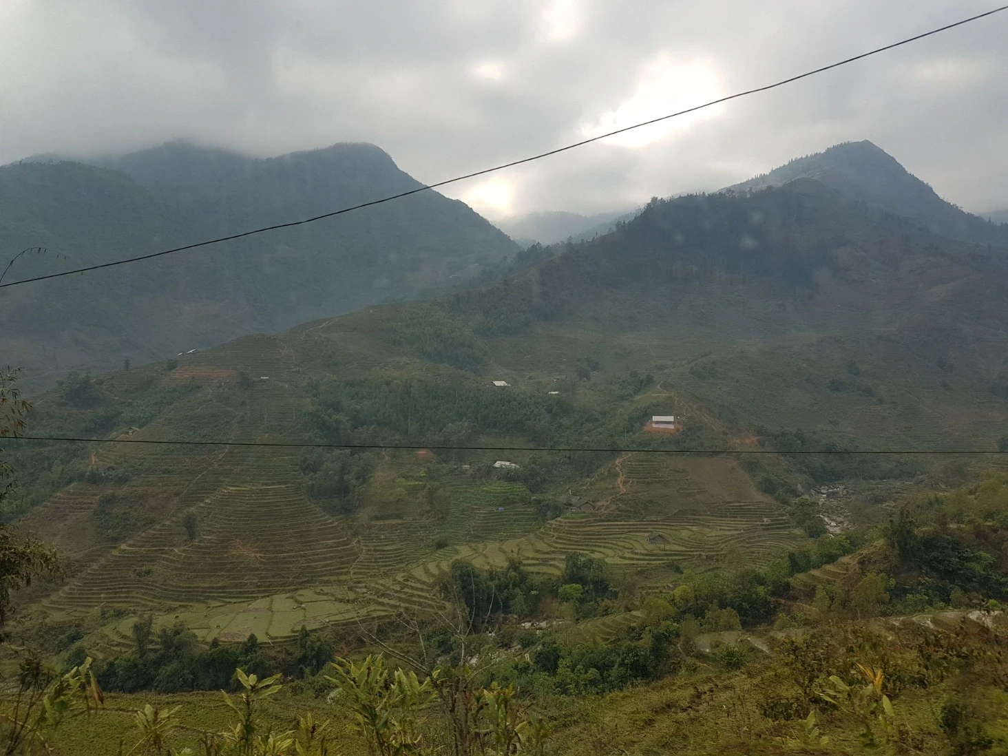 Rizières Sapa