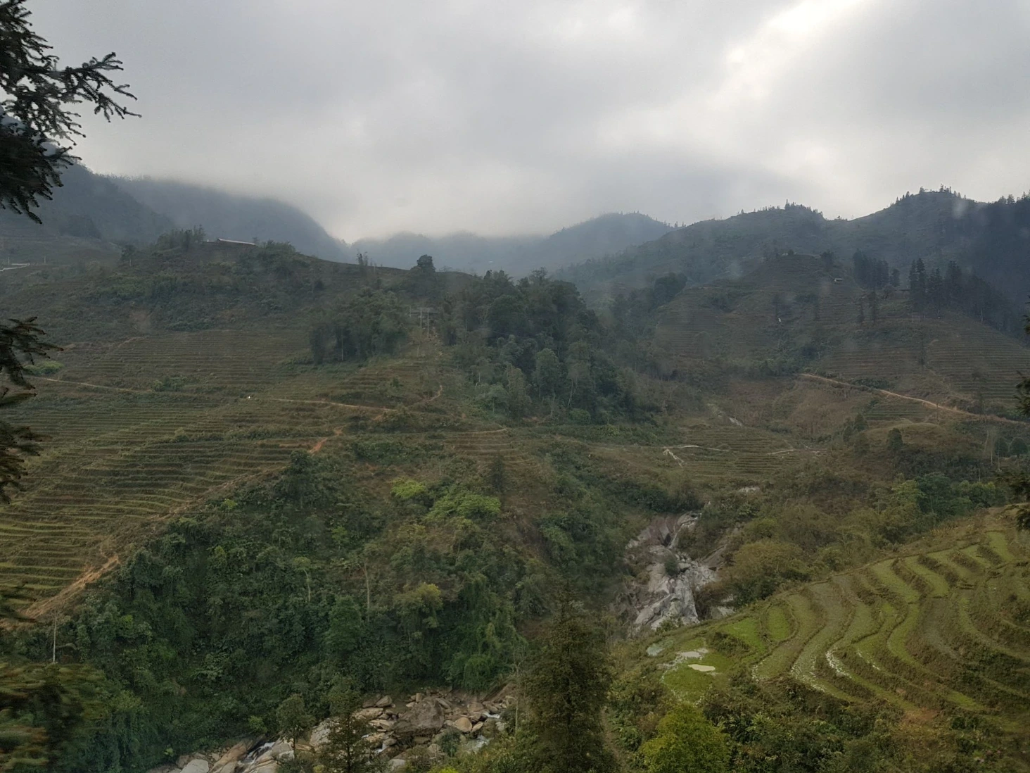 Rizières Sapa