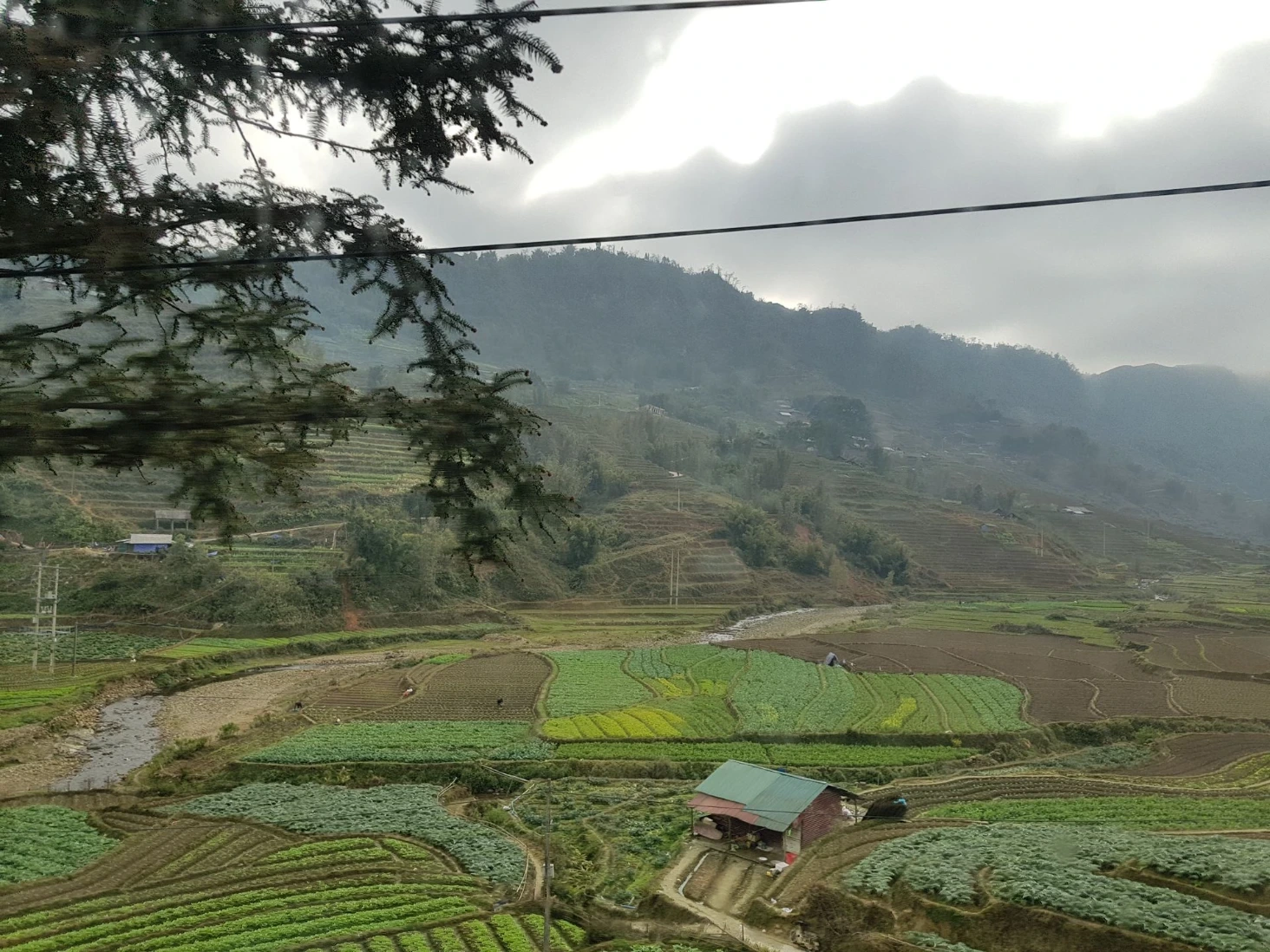 Rizières Sapa