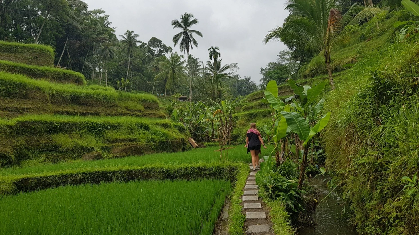 Rizières Tegalalang Bali