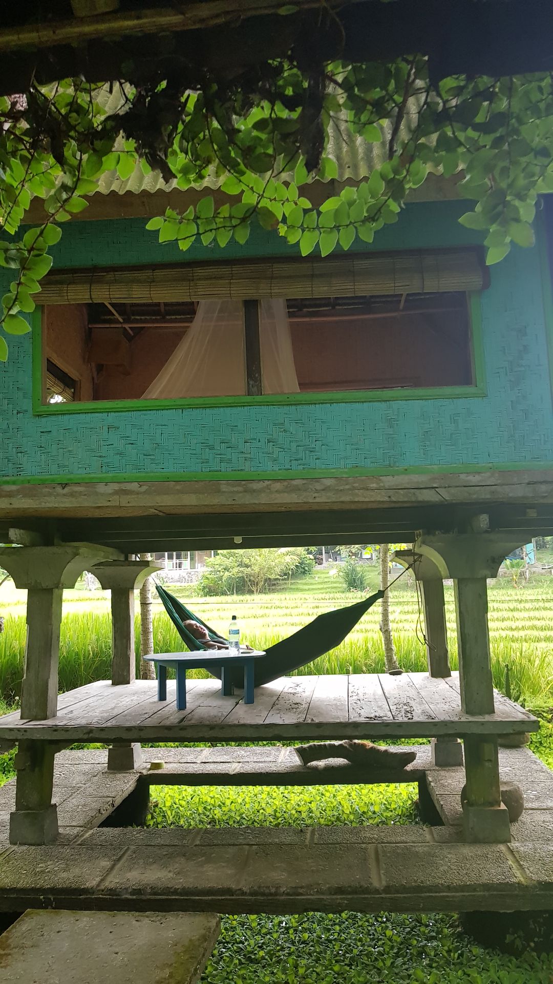 Cabane